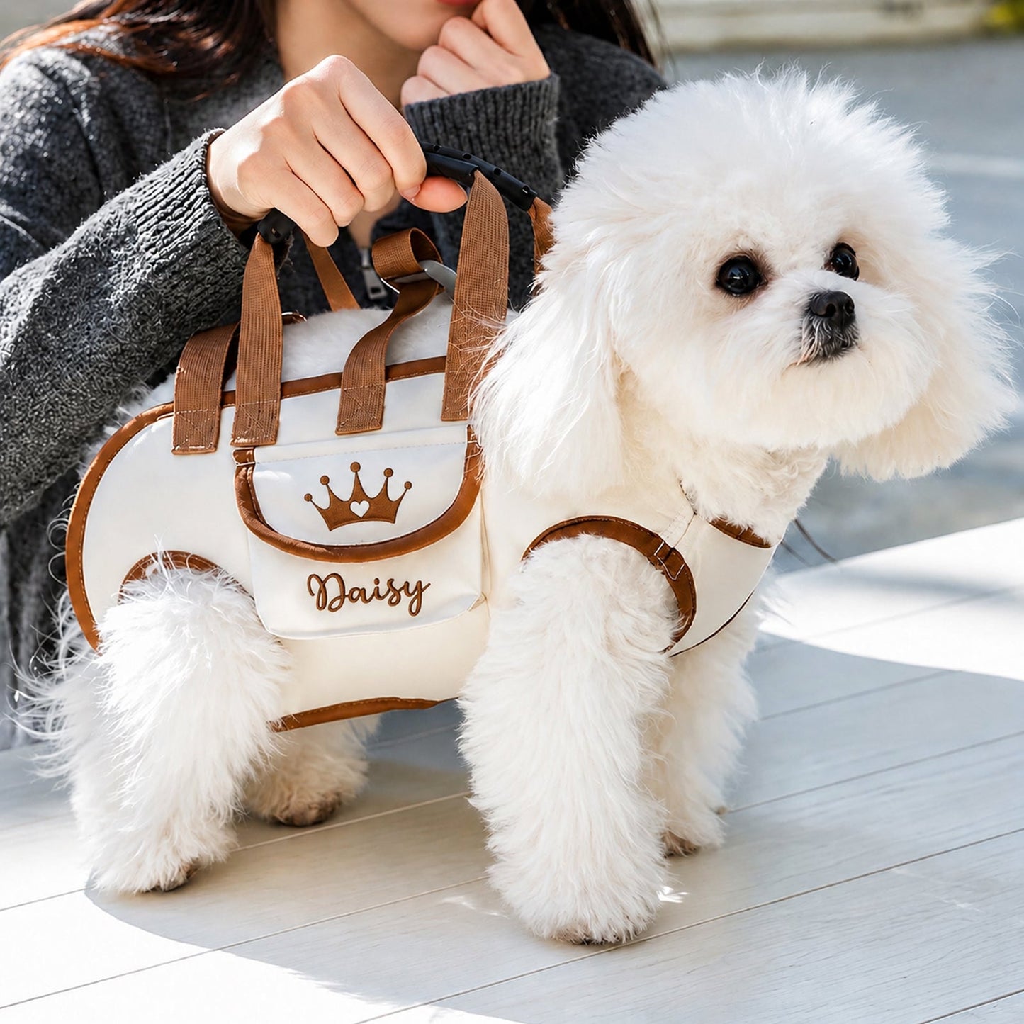 Personalized Custom Portable, Breathable, Crossbody Pet Backpack