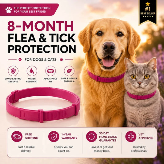 8 Month Flea & TickProtection Collar