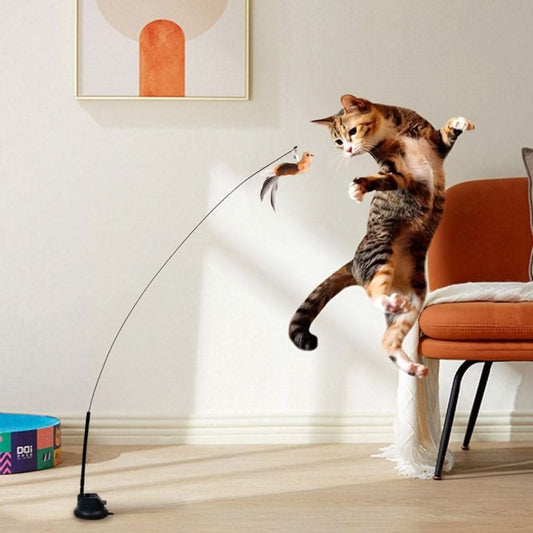 Interactive Bird Simulation Cat Toy