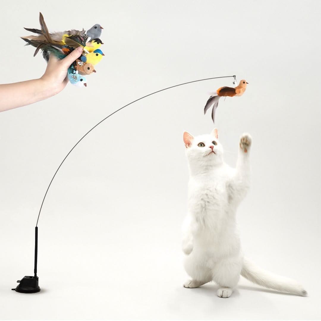 Interactive bird simulation cat toy set in use
